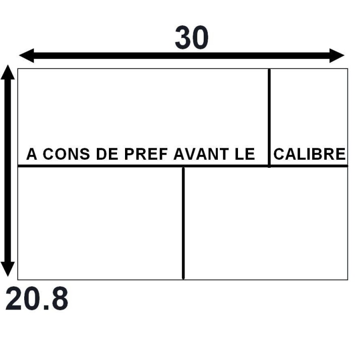 Étiquette SATO EP208IX-012- Disponible sur Althus-Office