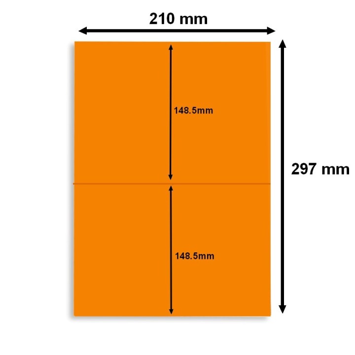 Lot de 10 boites de planches A4 avec 2 étiquettes orange 210 x 148,5 mm - Pour une signalétique harmonieuse - Althus-Office