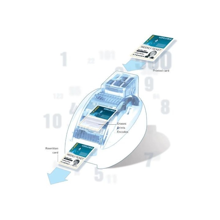 Imprimante à Carte EVOLIS TATTOO RW TTR201BBH pour cartes personnalisées professionnelles, équipez-vous chez Althus-Office