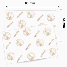 Carte PVC vierge avec Hologramme Globe 2D 104523-119 ZEBRA pour personnalisation rapide – découvrez sur Althus-Office