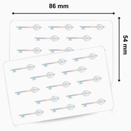Cartes PVC vierges avec Hologramme Clé 500 cartes ZEBRA 104524-123 usage entreprise – commandez sur Althus-Office