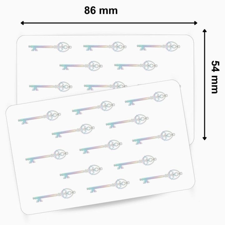 Cartes PVC vierges avec Hologramme Clé 500 cartes ZEBRA 104524-123 usage entreprise – commandez sur Althus-Office